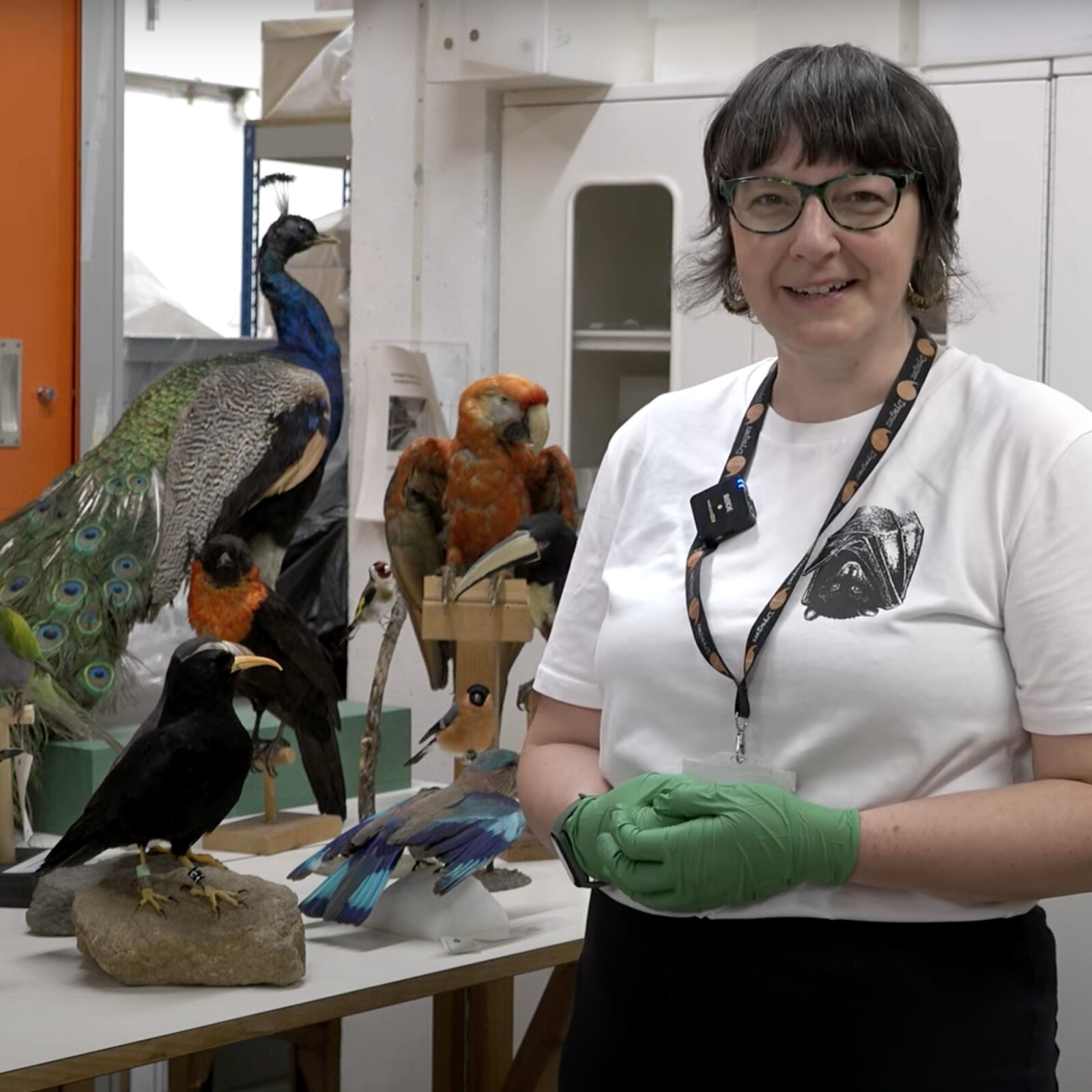 Natural Sciences At National Museum Cardiff