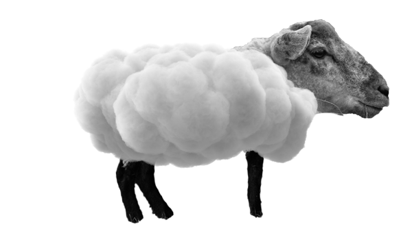sheep cloud2