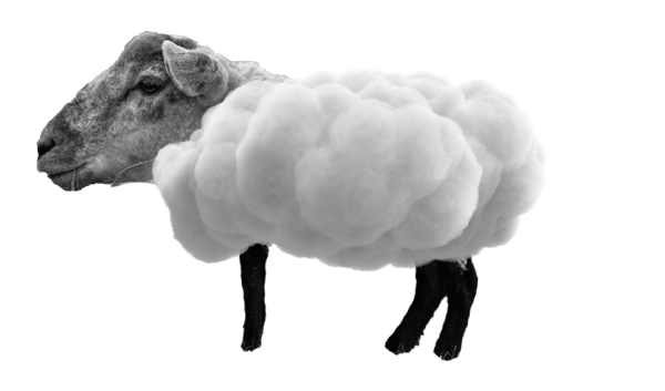 sheep cloud1