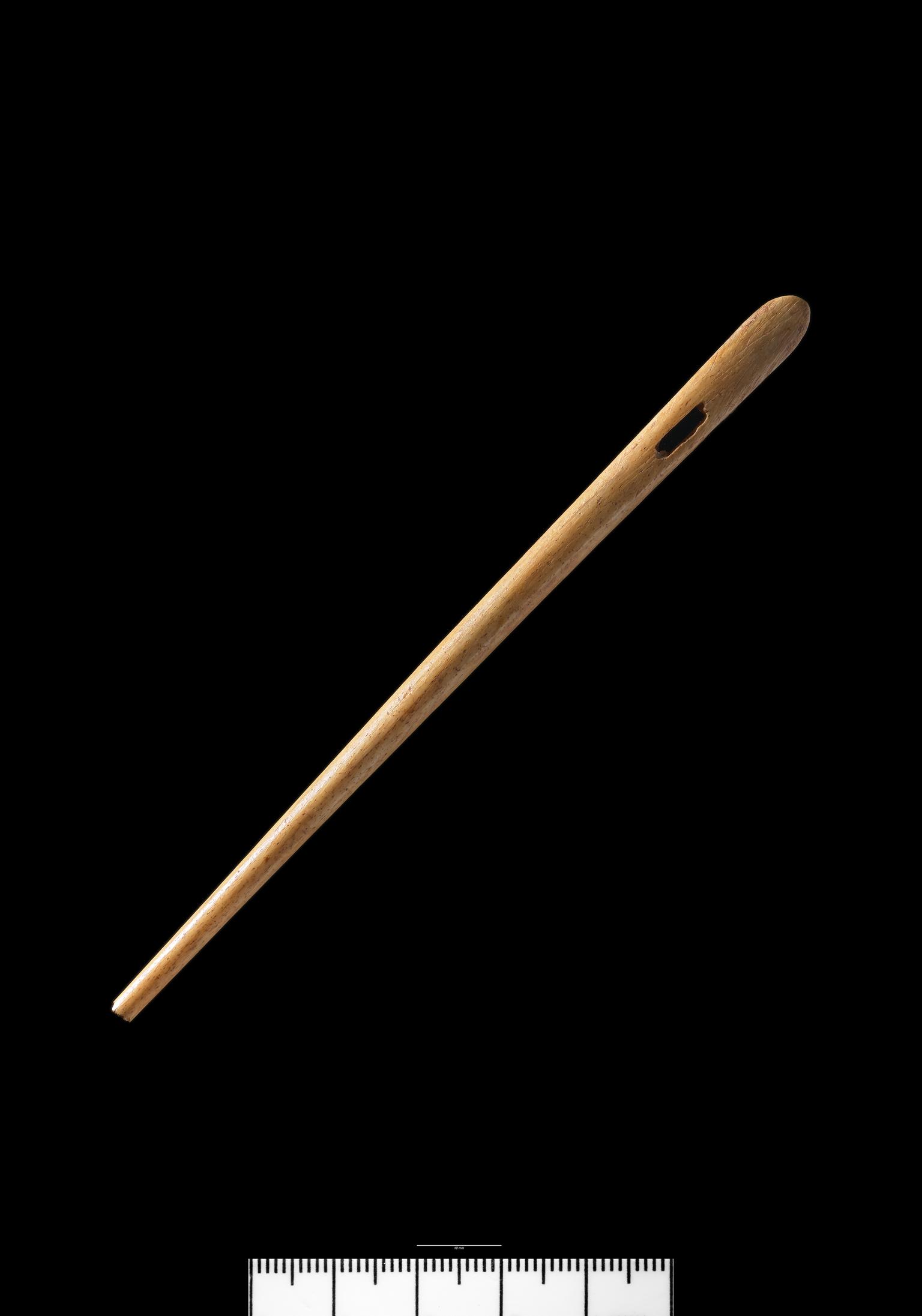 Roman bone needle