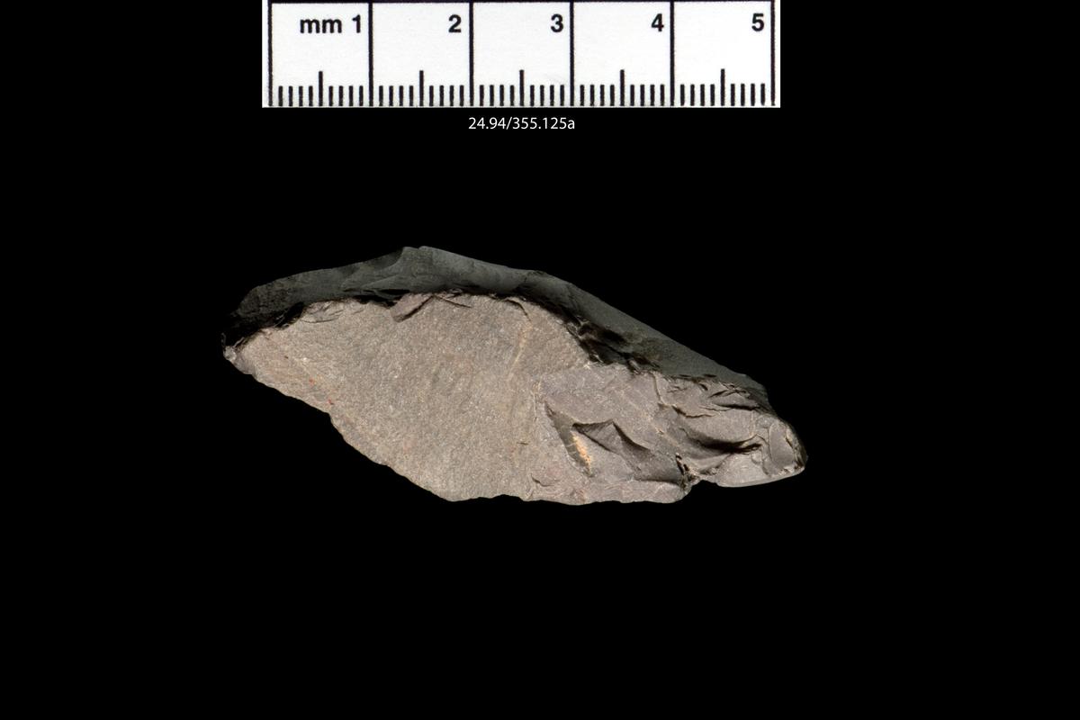 Upper Palaeolithic chert burin