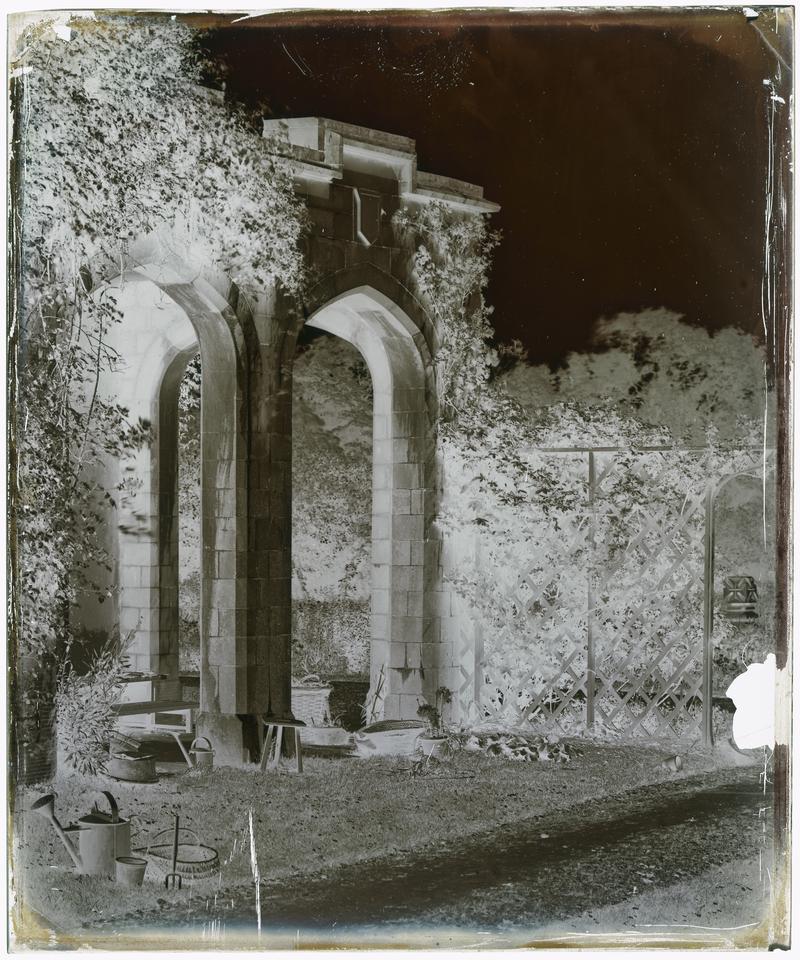 Garden at Lanelay, negative