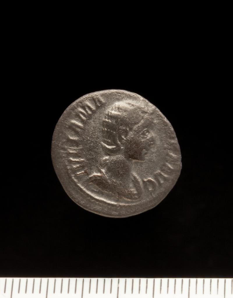 Sully Hoard I (1899) Denarius Julia Mamaea