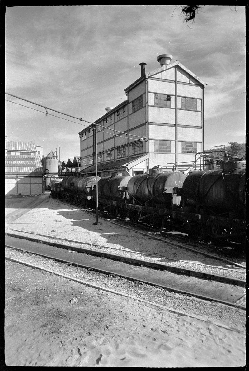 Caerphilly tar plant, negative