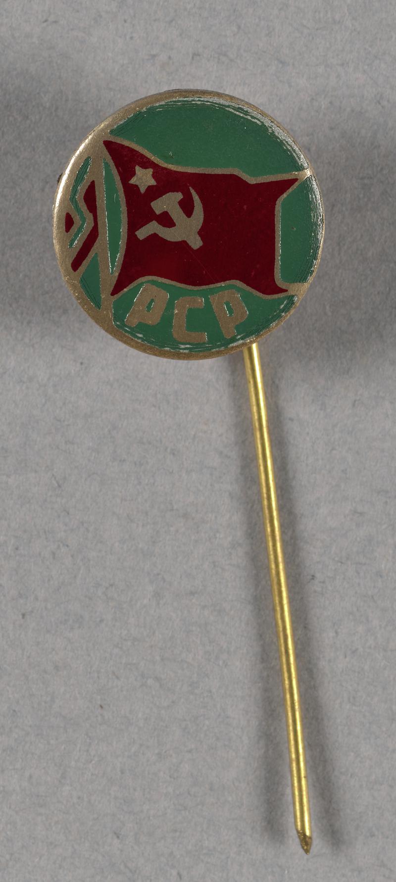 Pin badge