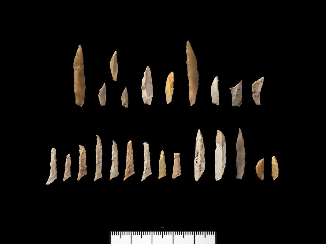 Later Mesolithic flint microlith