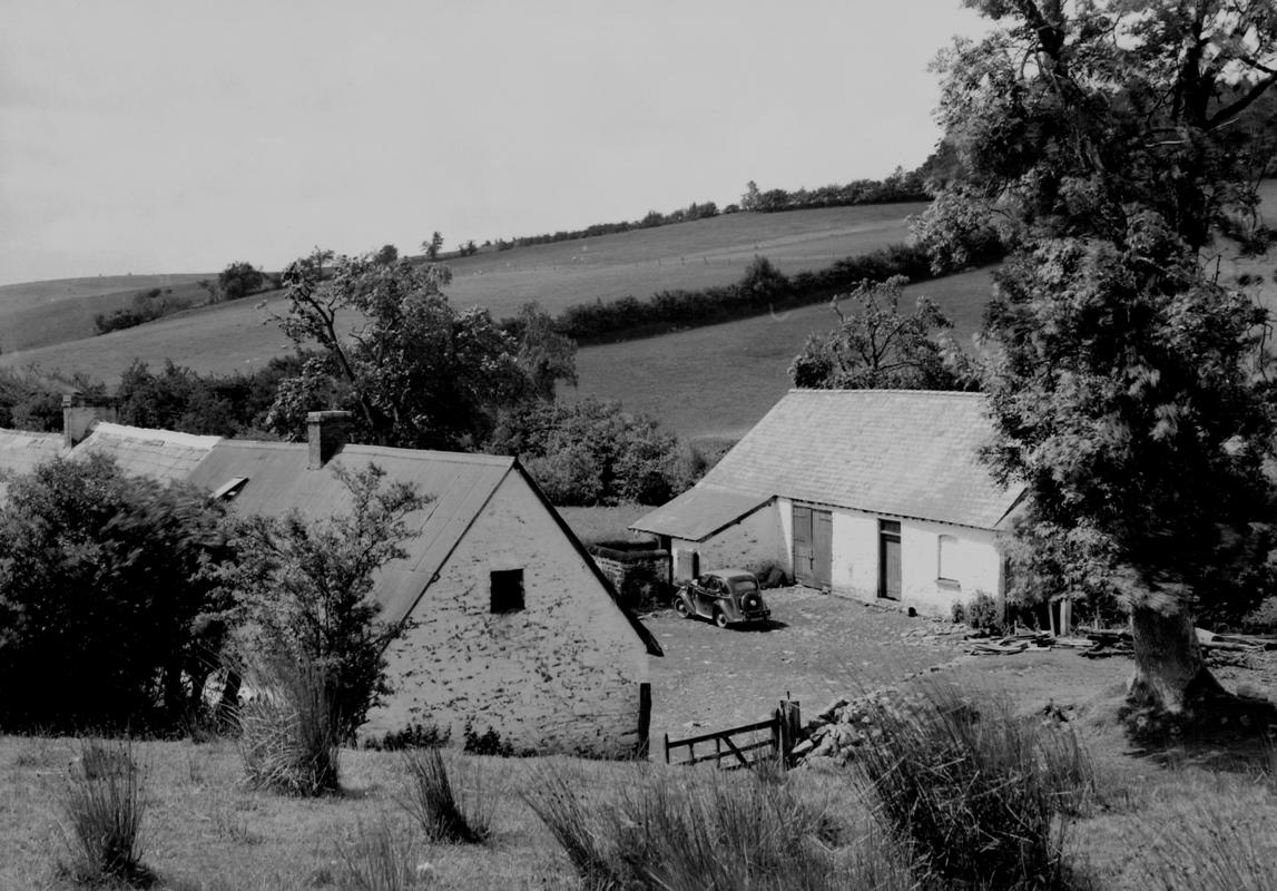 Quarter plate film negative