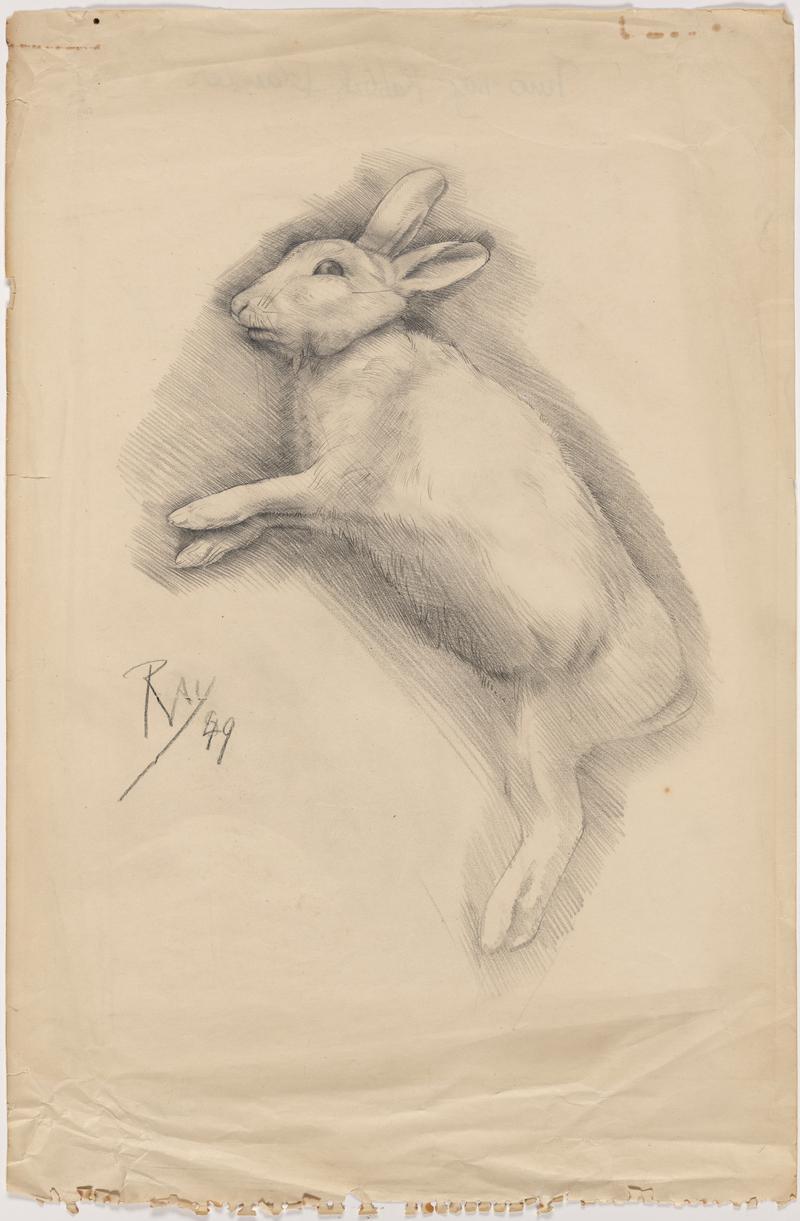 Tino my rabbit Islander, 1949