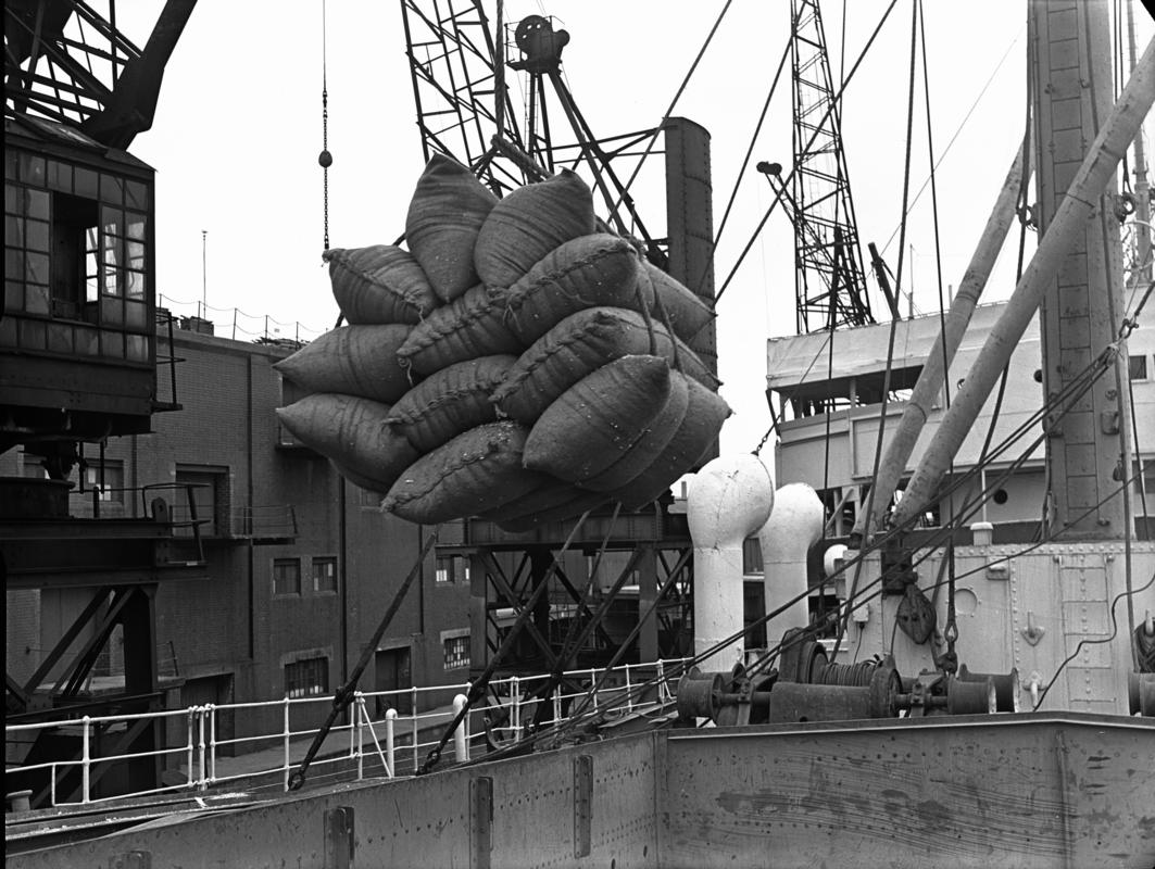 Grain being discharged at Cardiff docks