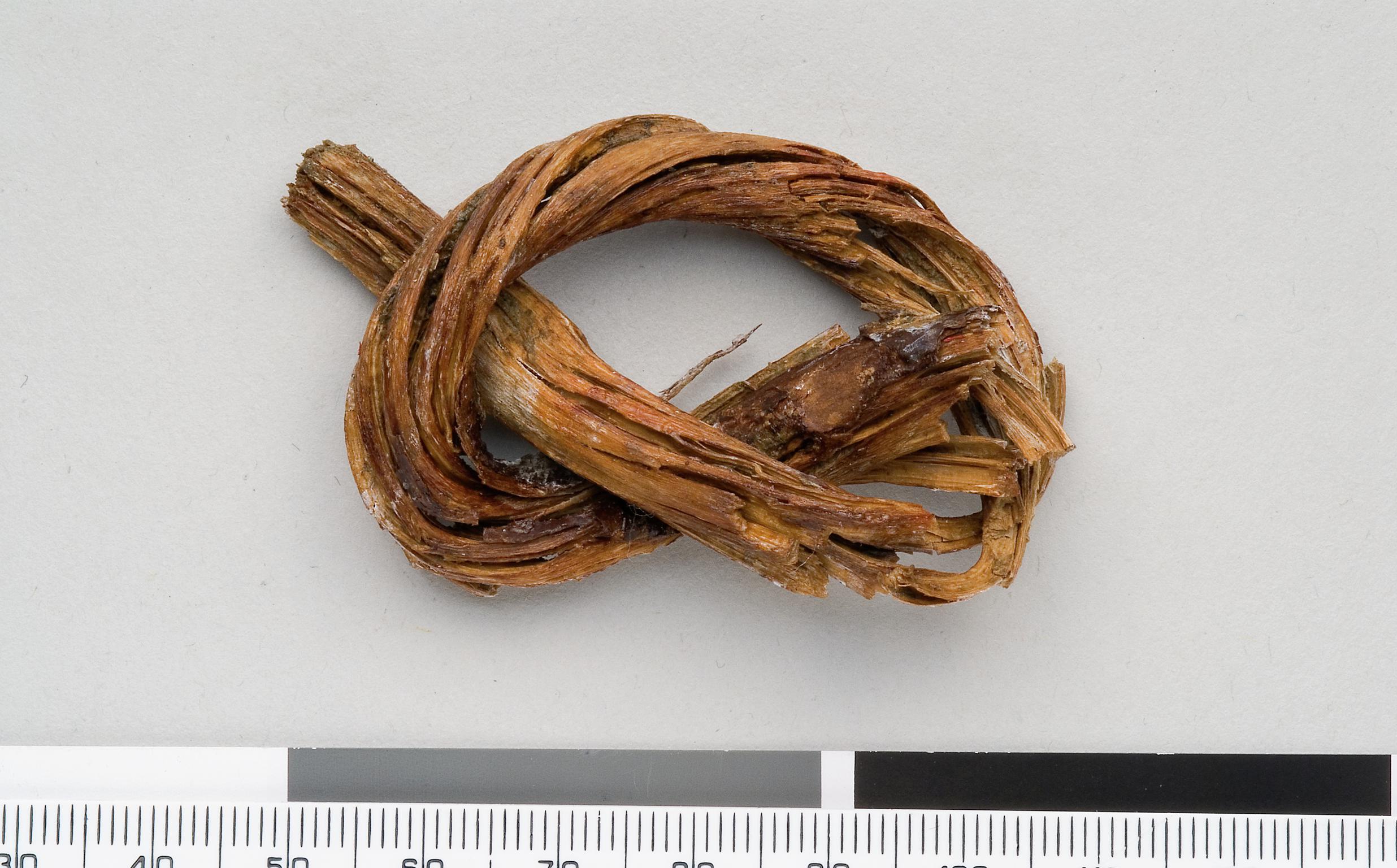 Early Bronze Age wooden withy tie