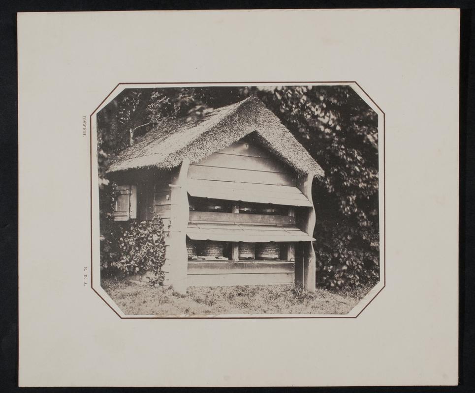 Beehives, photograph