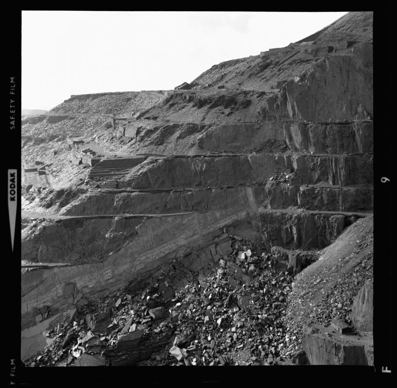 Dinorwig Quarry.  Photograph taken during a &#039;nature trail&#039; around Dinorwig Quarry, April 1976.



2014.35/184-185 appear on the same strip negative