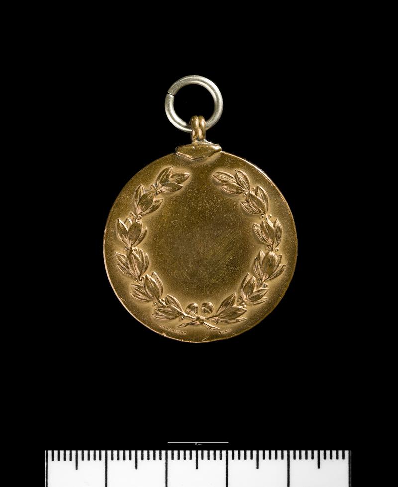 British Expeditionary Force medal