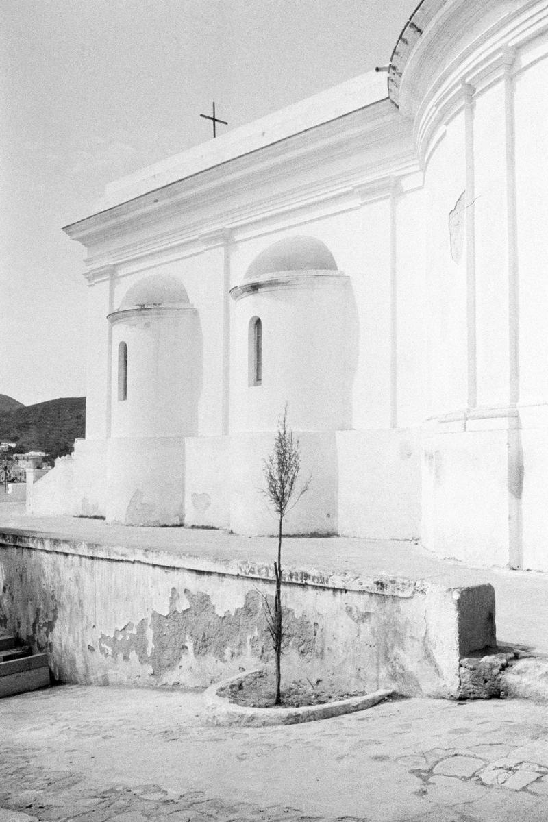 ITALY. Ponza. Local church and tree. 1964.
