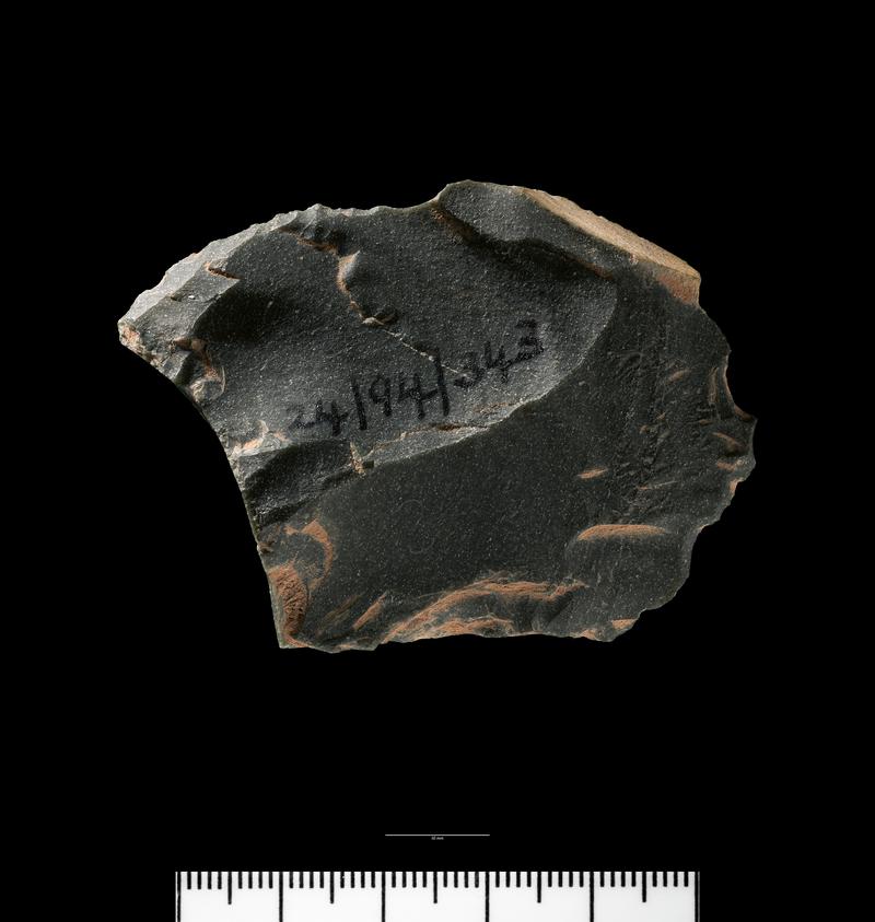 Upper Palaeolithic stone flake from Paviland Cave. Dorsal surface.