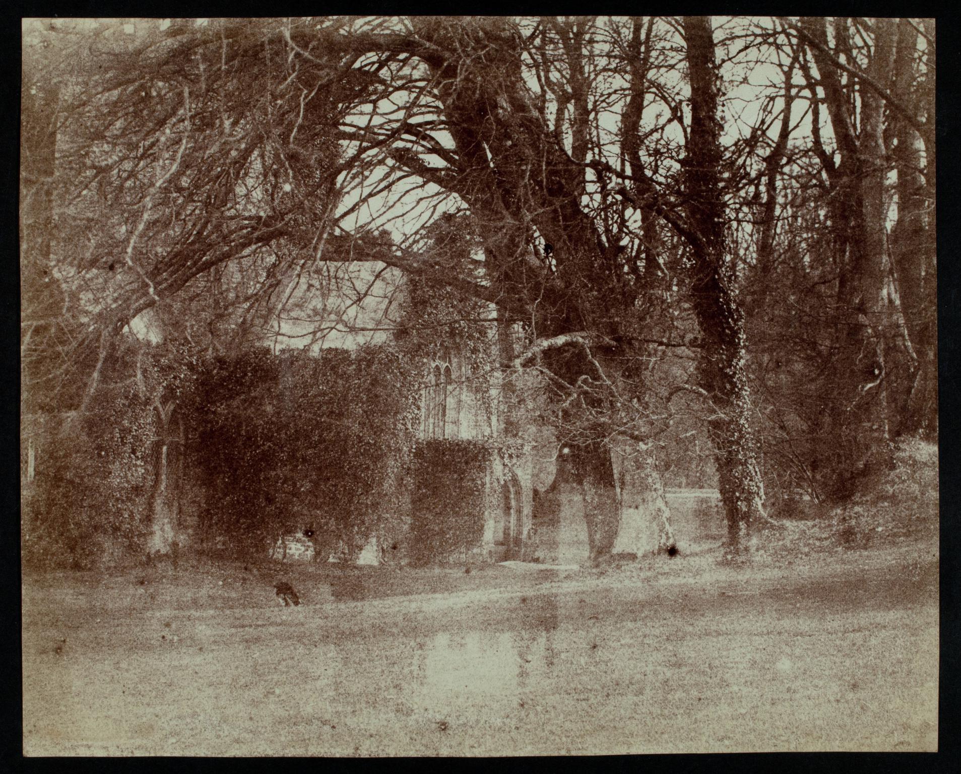 Abbey ruins, photograph
