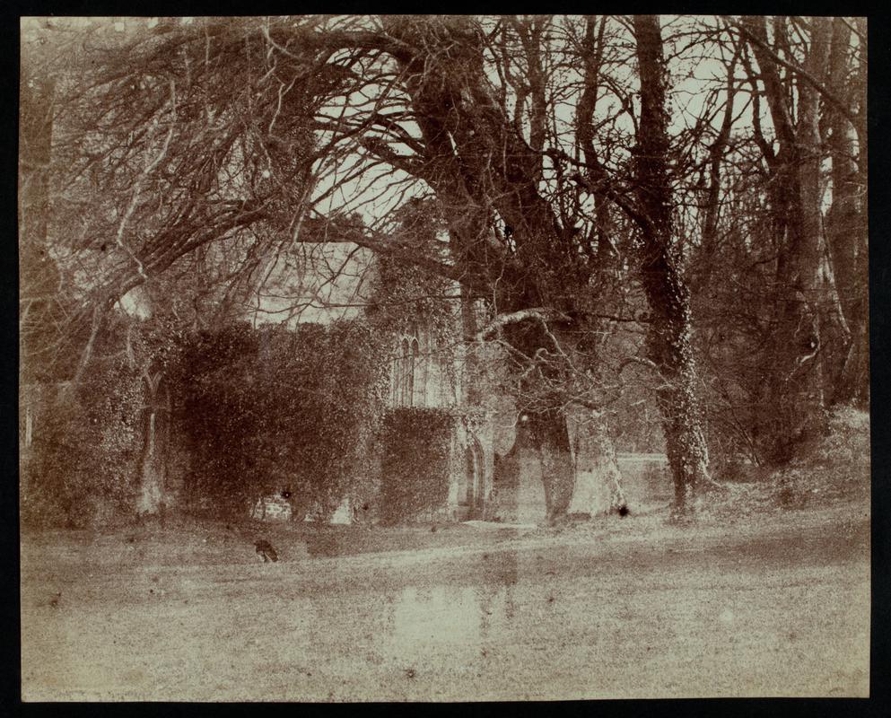 Abbey ruins through trees