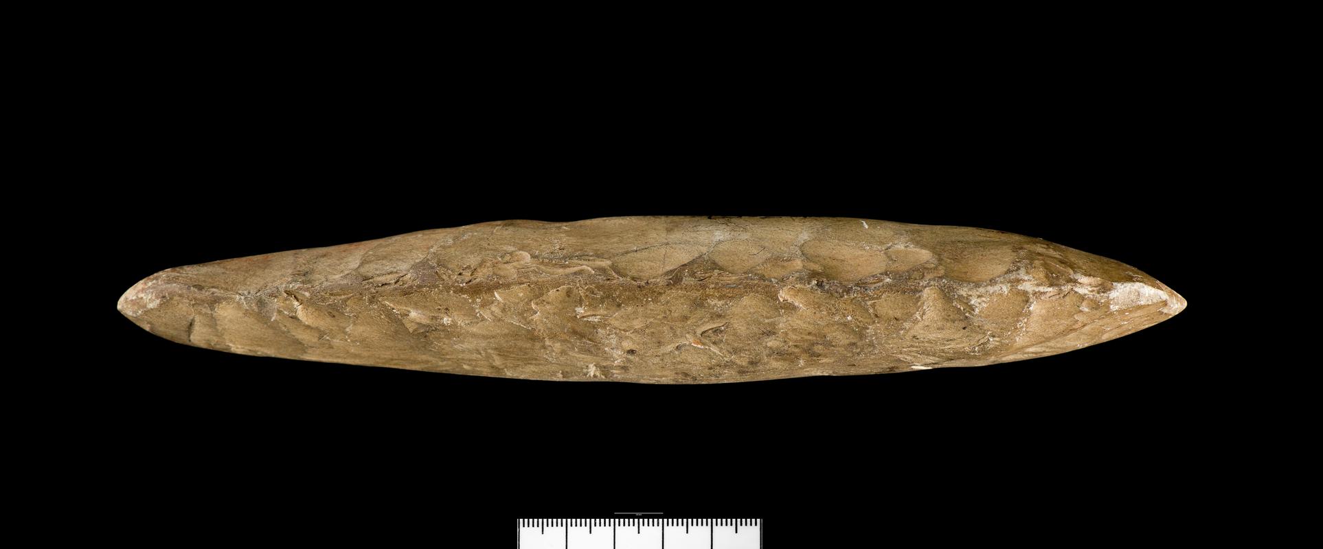 Neolithic stone axehead