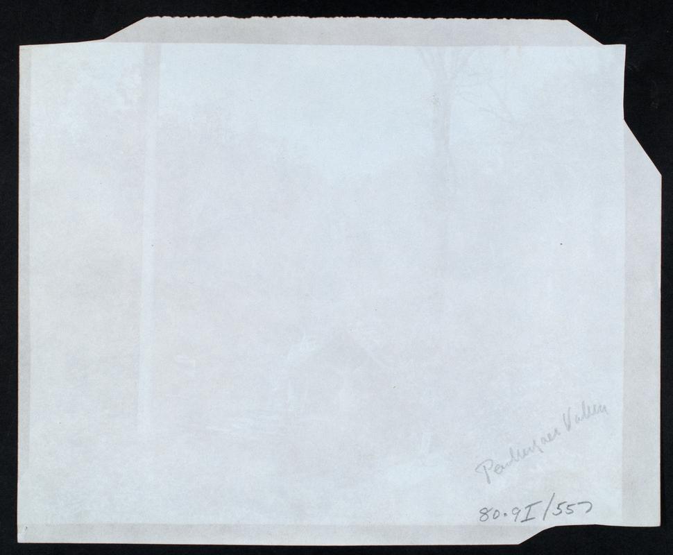 Penllergare, shanty on upper lake, photograph