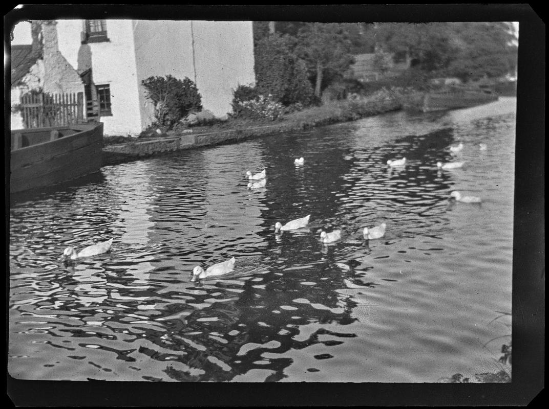 Glamorganshire Canal, negative