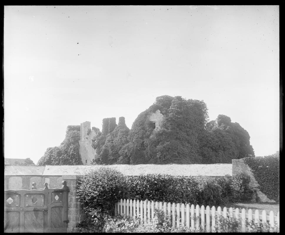 Photographic Negative