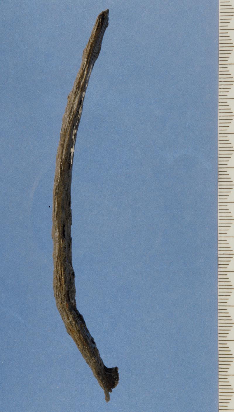 Late Iron Age iron object