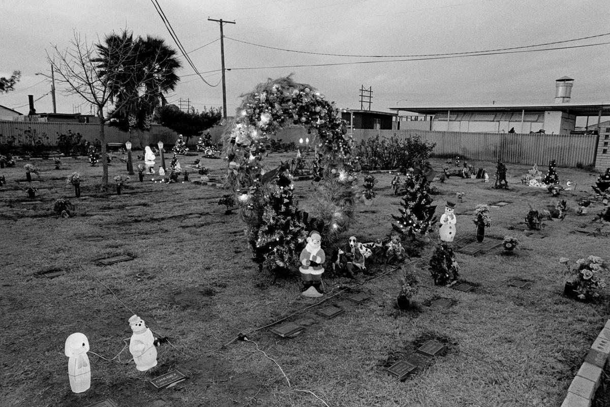 USA. ARIZONA. Tempe. Pet memorial cemetery at night. 1979.
