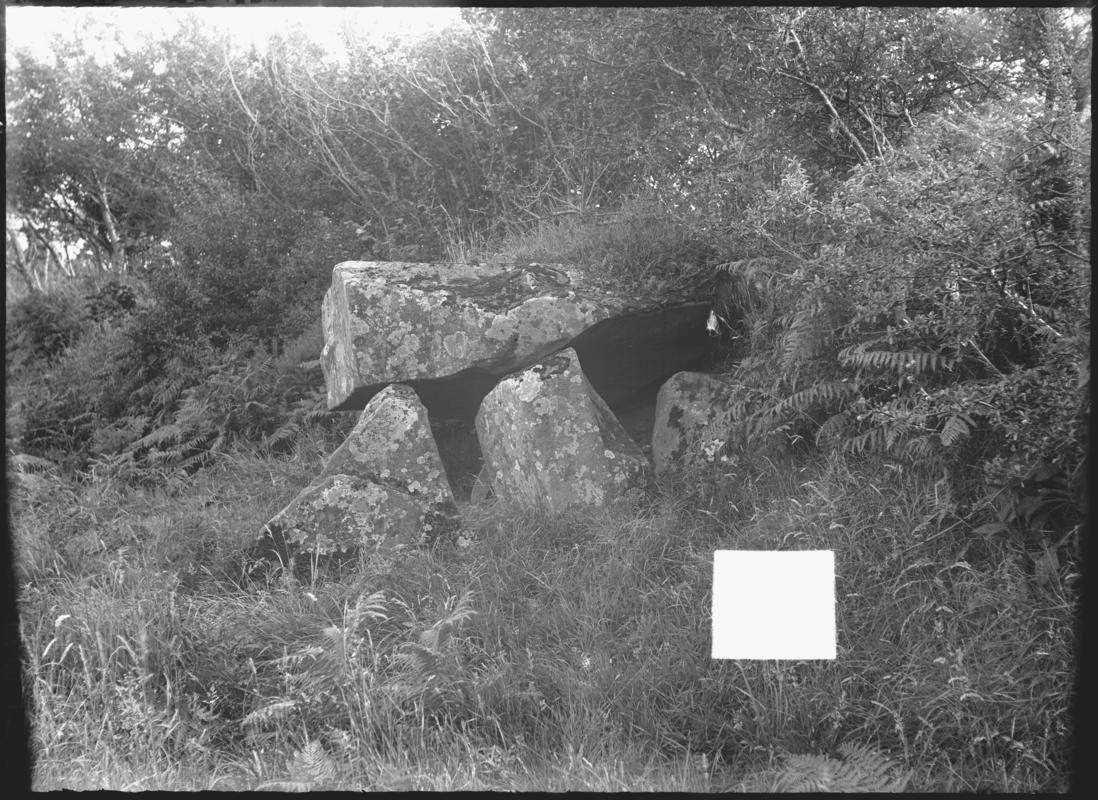 Photographic Negative