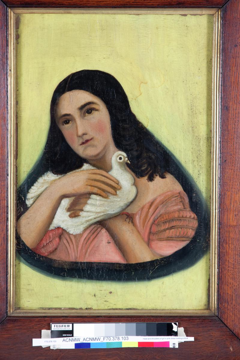 Head and Shoulders of Girl in Pink Dress Holding a Dove