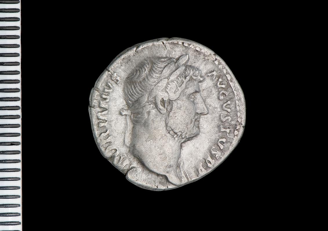 silver denarius (obv.)