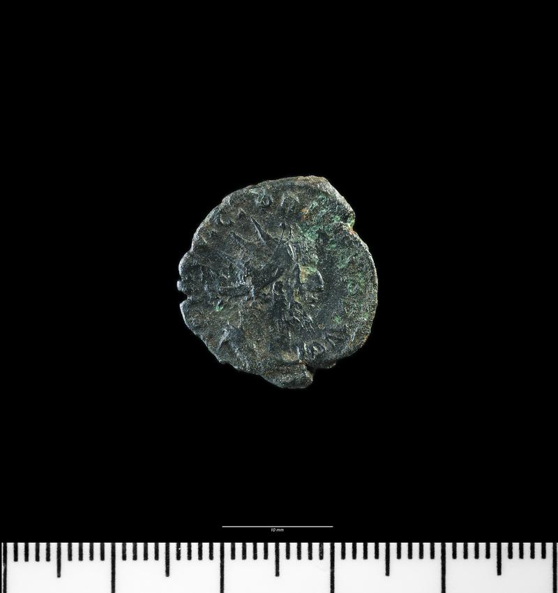 Caerleon Fortress Baths coins