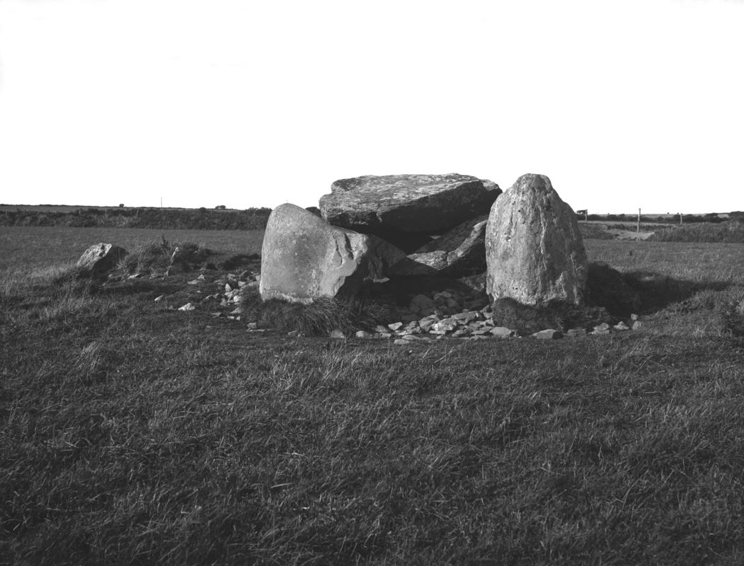 Photographic Negative