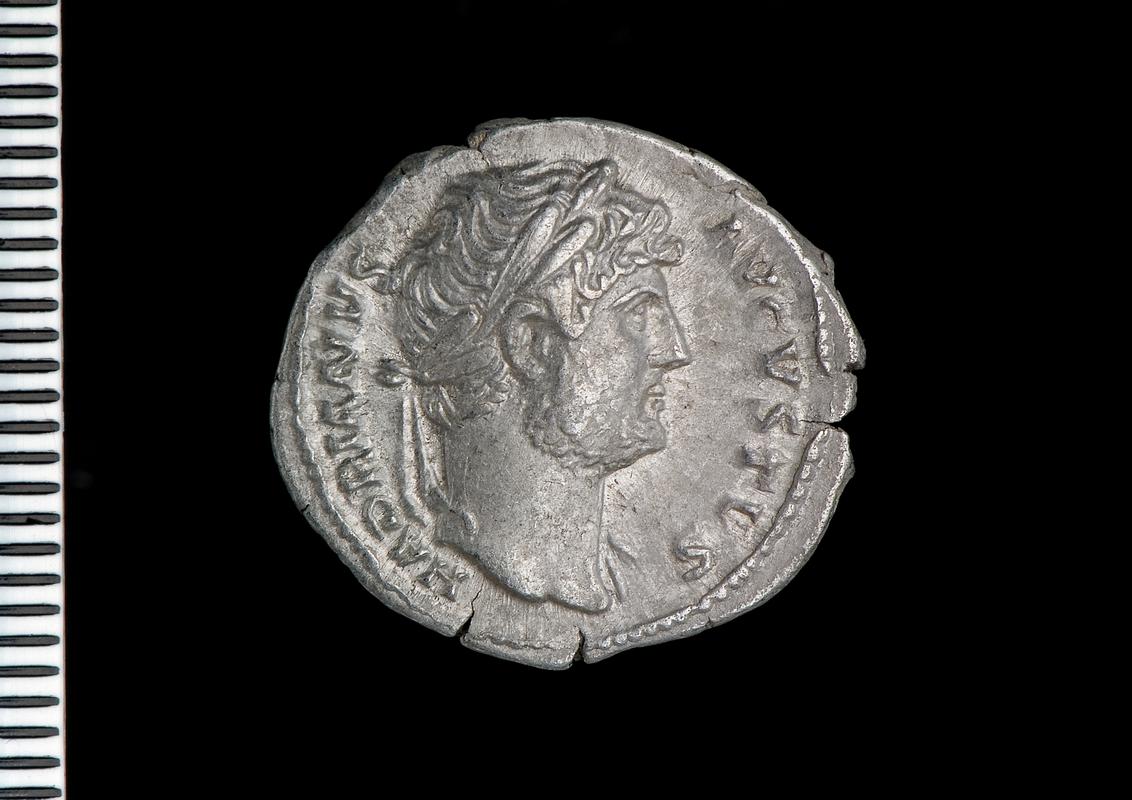 silver denarius (obv.)