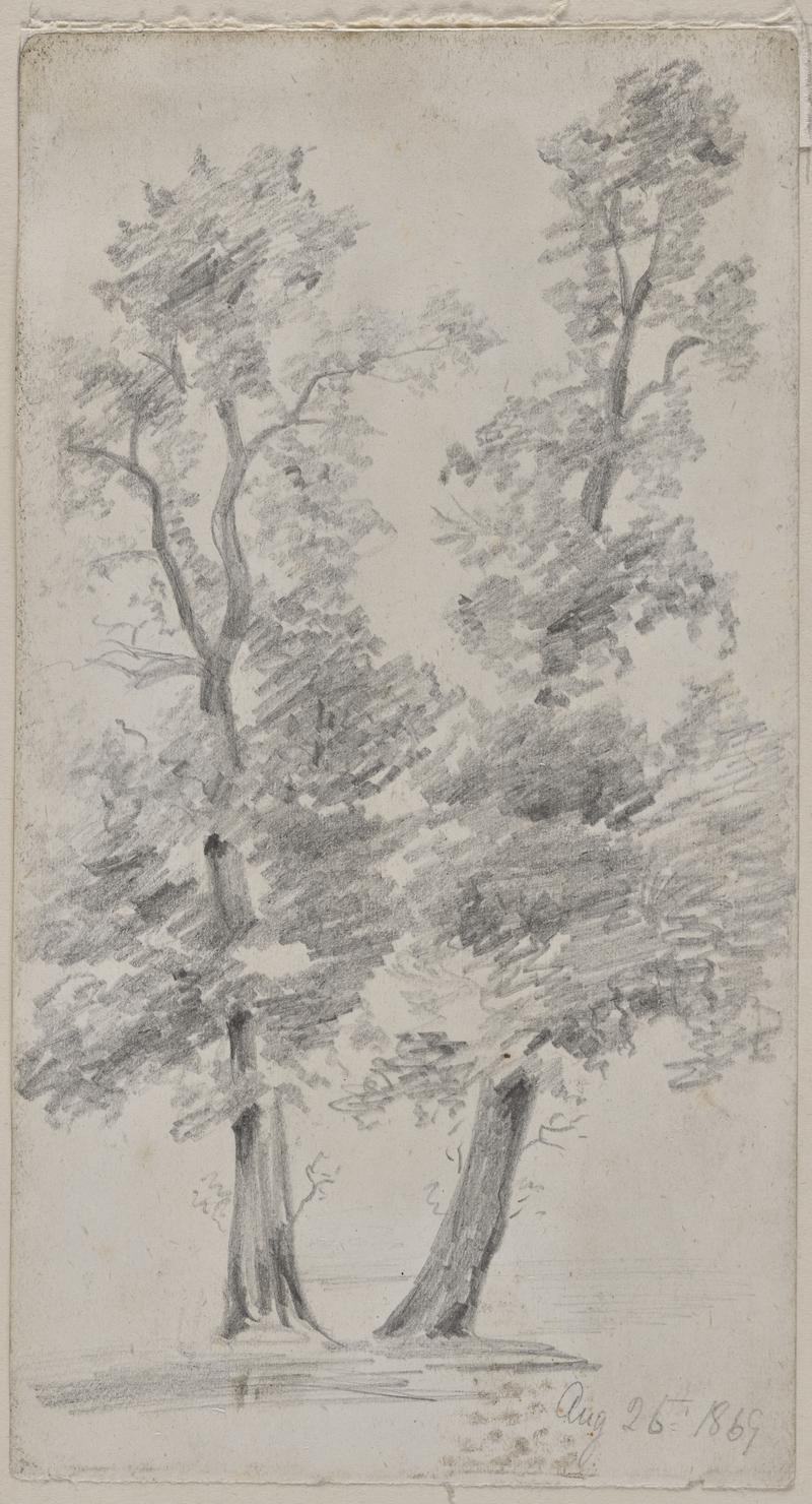 Two trees