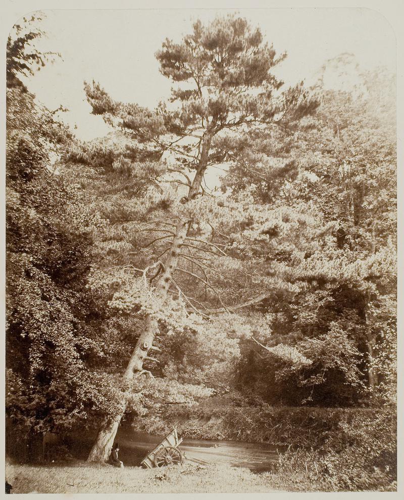 Valley of the Mole (photograph)