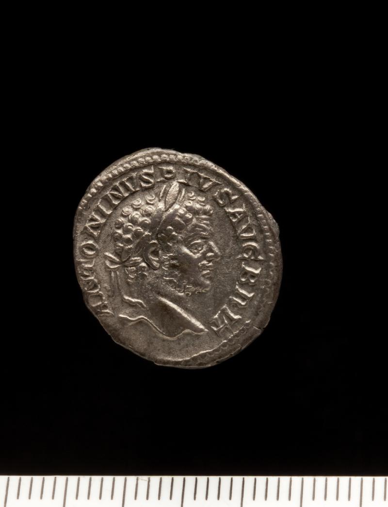 Sully Hoard I (1899) Denarius Caracalla