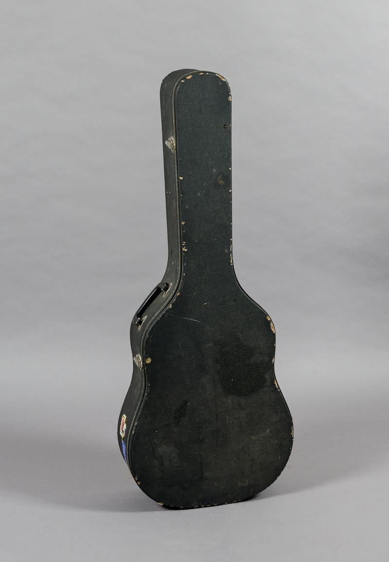 Guitar case
