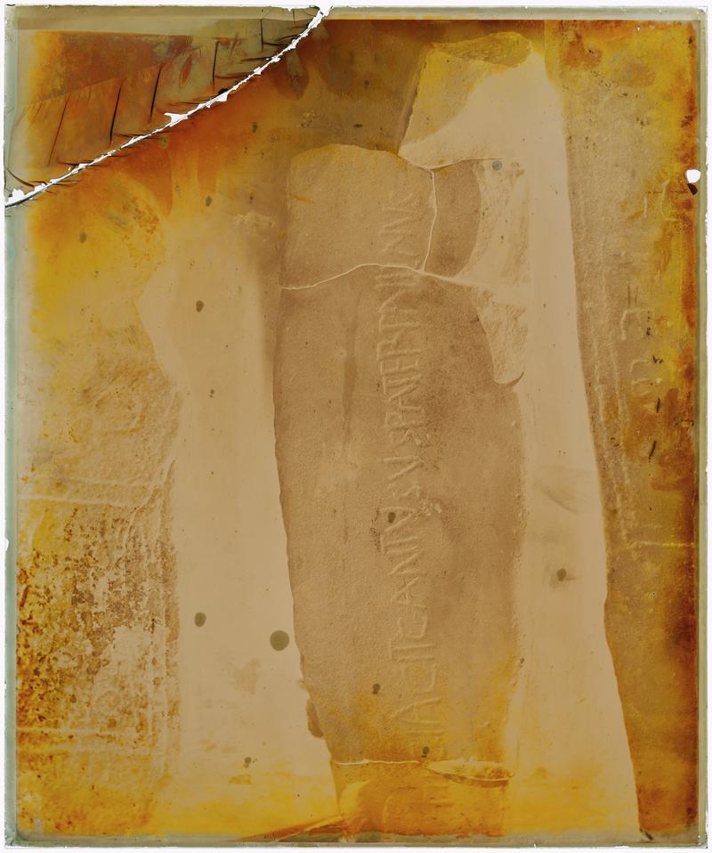 Photographic Negative