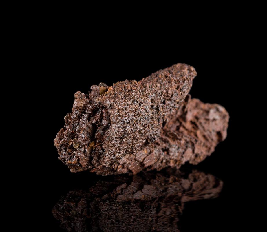 Roman iron lorica plumata fragment