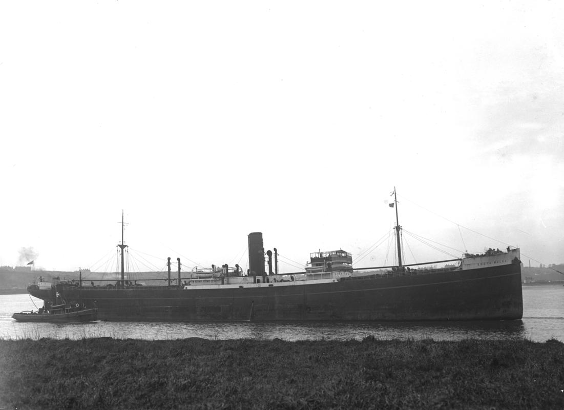 S.S. SOUTH WALES, glass negative