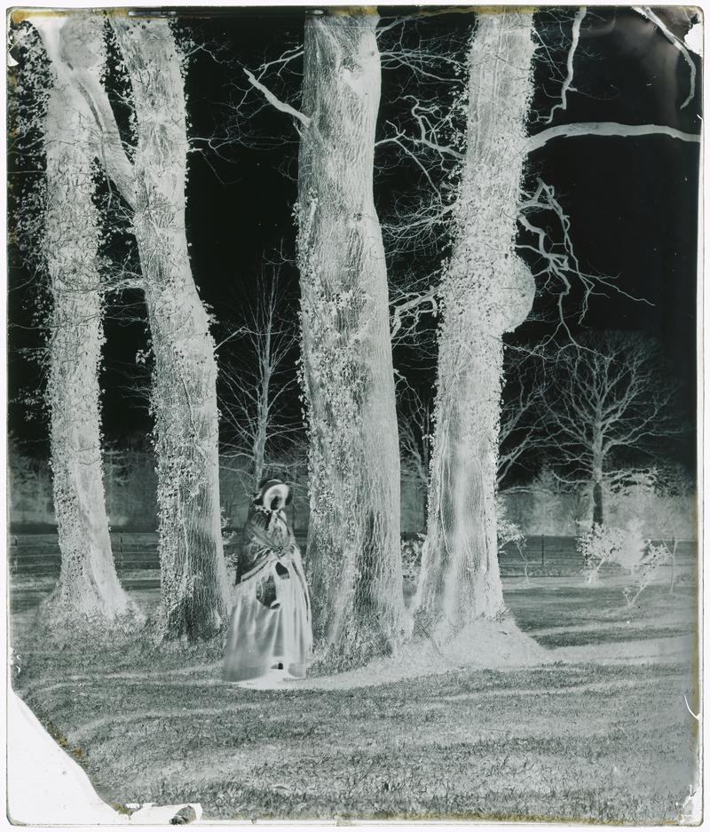 Emma amongst trees, glass negative