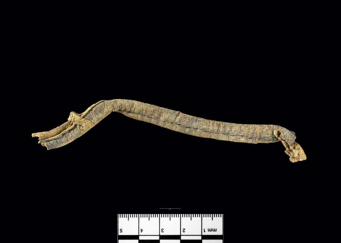 Roman leather offcut