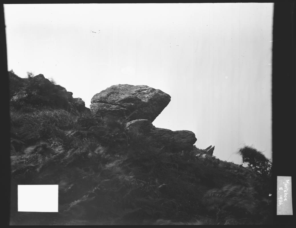 Photographic Negative