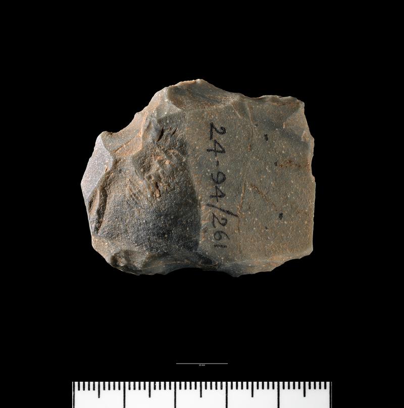 Early Upper Palaeolithic end-scraper from Paviland Cave. Dorsal surface