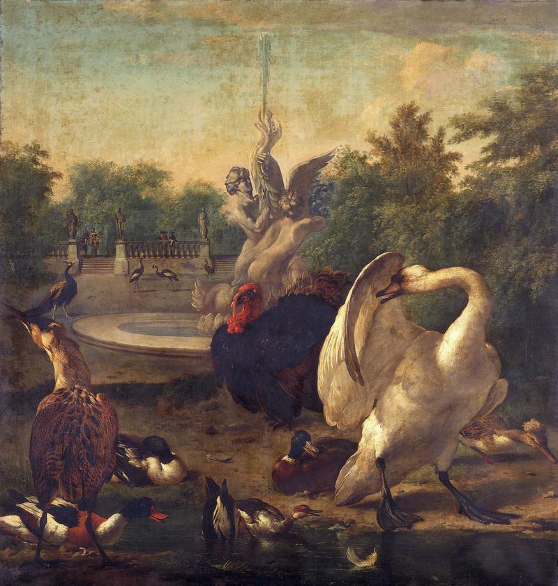 A park with swan and other birds