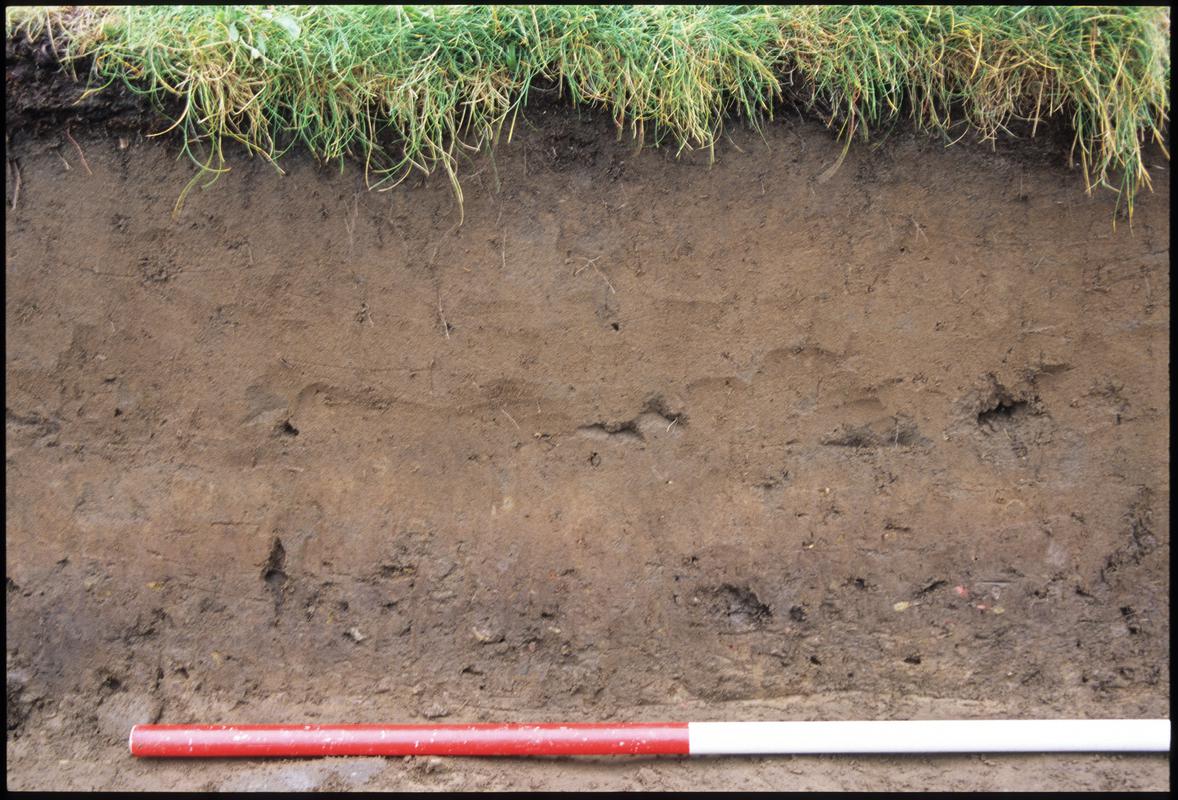 Burry Holms, Gower. 2001 Trench 1 (S). Section at the north of the trench. Sequence shot 5.