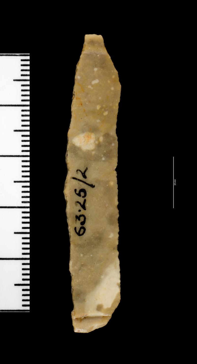 Upper Palaeolithic abruptly backed point