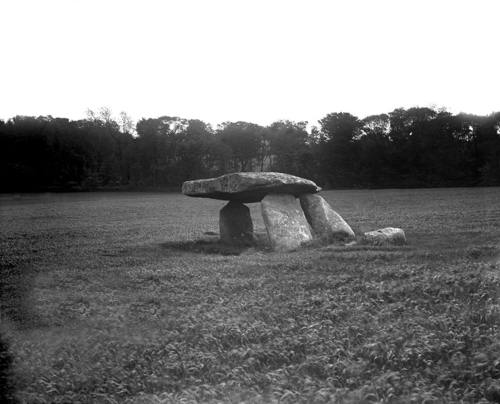 Photographic Negative