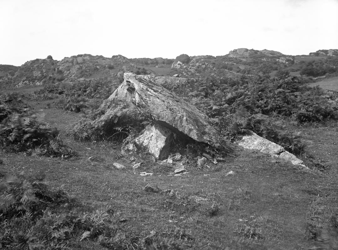 Photographic Negative