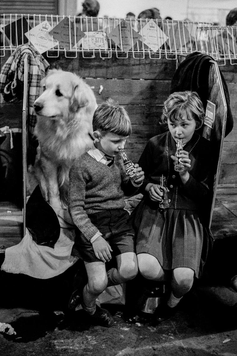 GB. SCOTLAND. Glasgow. The annual Dog Show. 1967.
